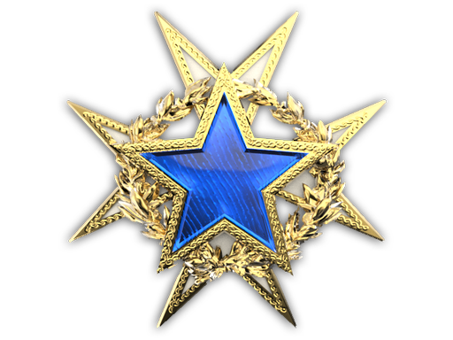 2015 Service Medal (Level 1)
