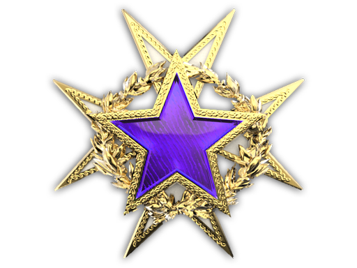 2015 Service Medal (Level 2)