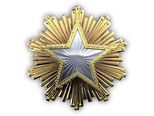 2016 Service Medal (Level 1)