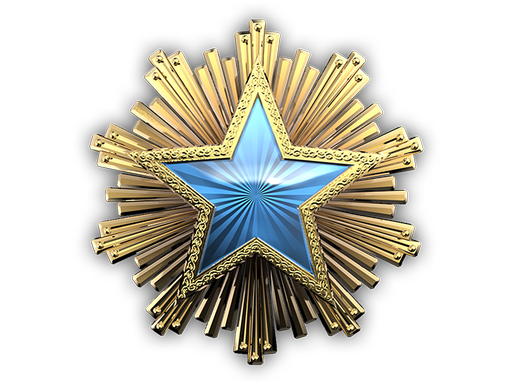 2016 Service Medal (Level 2)
