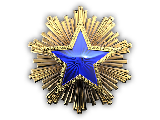 2016 Service Medal (Level 3)