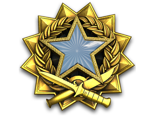 2017 Service Medal (Level 1)