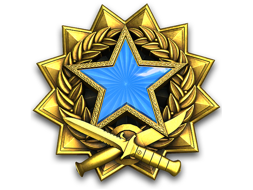 2017 Service Medal (Level 2)