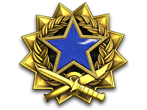 2017 Service Medal (Level 3)