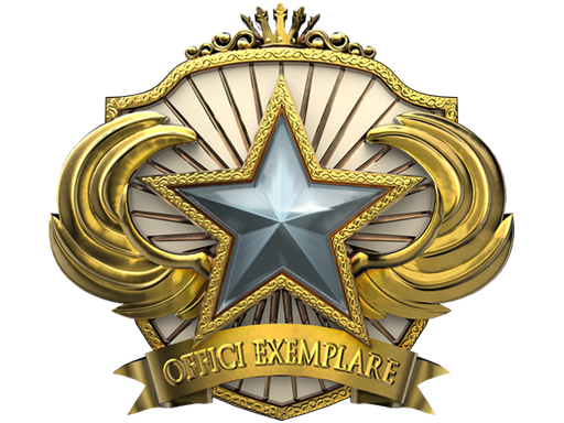 2018 Service Medal (Level 1)