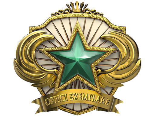 2018 Service Medal (Level 2)