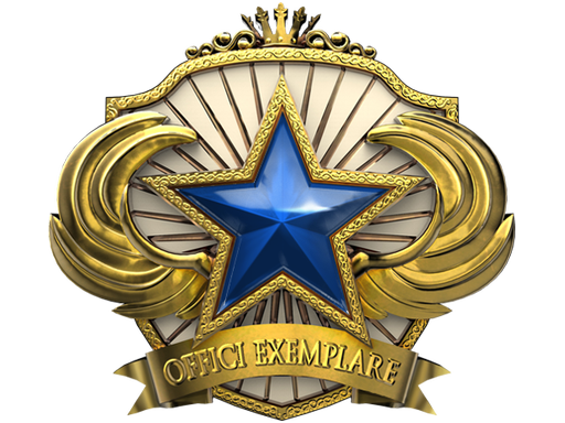 2018 Service Medal (Level 3)