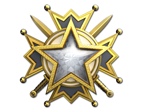 2019 Service Medal (Level 1)