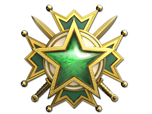 2019 Service Medal (Level 2)