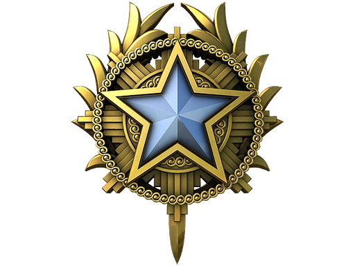2020 Service Medal (Level 1)
