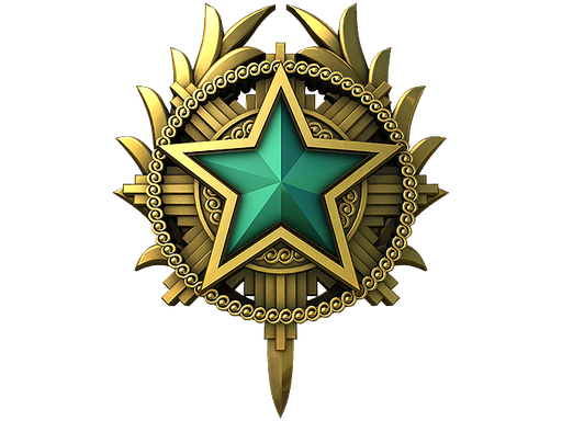 2020 Service Medal (Level 2)