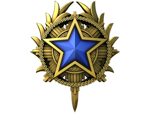 2020 Service Medal (Level 3)