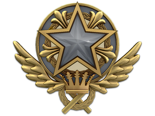 2021 Service Medal (Level 1)