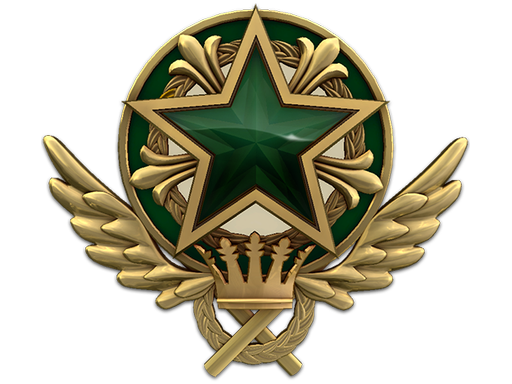 2021 Service Medal (Level 2)