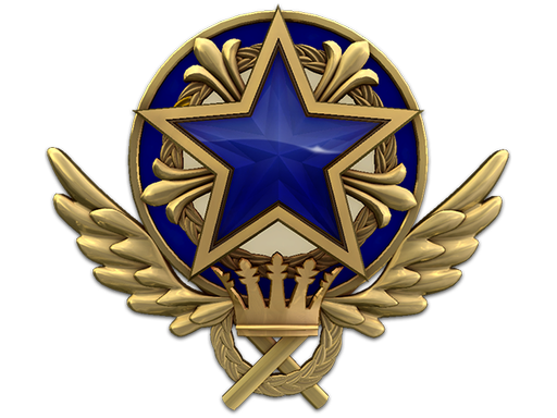 2021 Service Medal (Level 3)