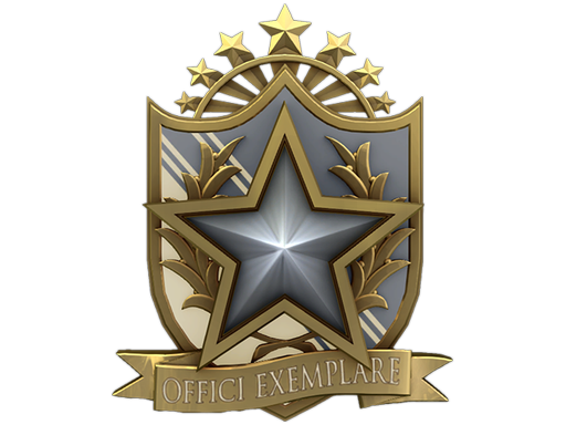 2022 Service Medal (Level 1)