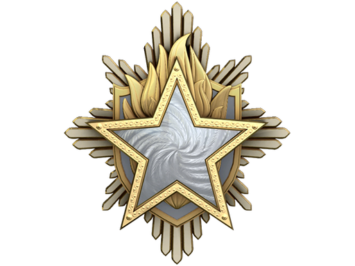 2023 Service Medal (Level 1)