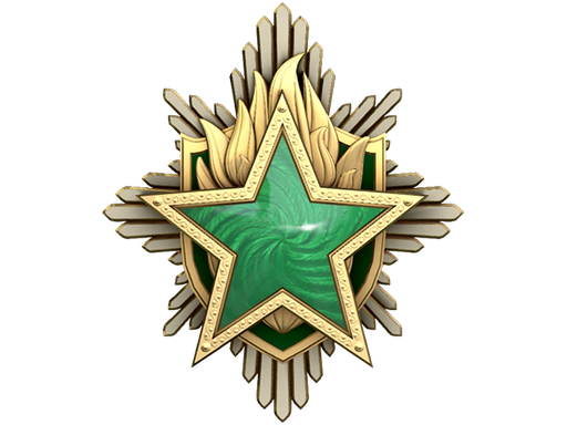 2023 Service Medal (Level 2)