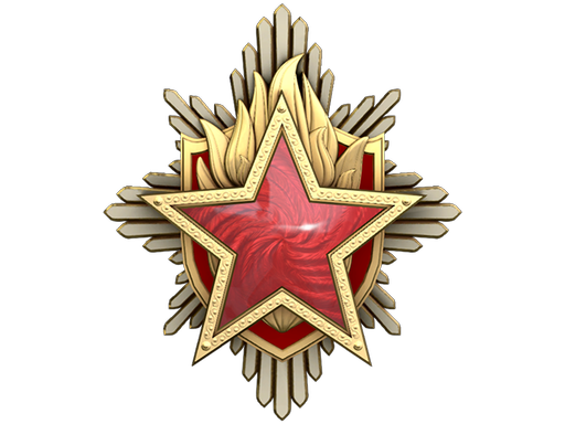 2023 Service Medal (Level 6)