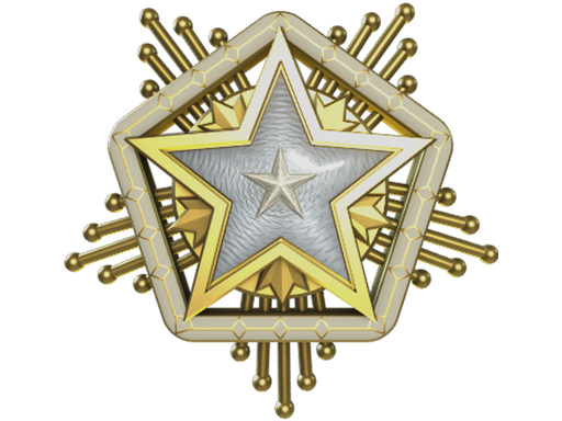 2024 Service Medal (Level 1)