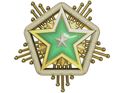 2024 Service Medal (Level 2)
