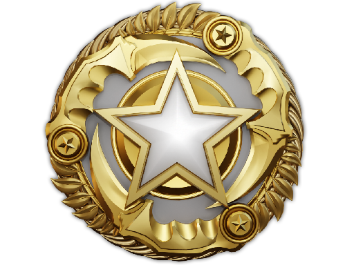 2025 Service Medal (Level 1)