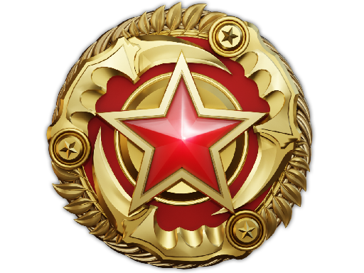 2025 Service Medal (Level 6)